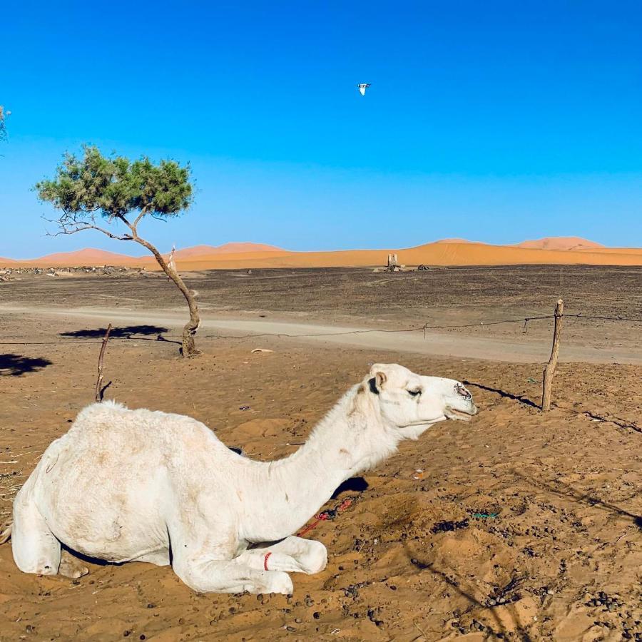 Maison Adrar Merzouga Buitenkant foto